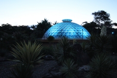 VW Brisbane Botanic Gardens - Mt. Cootha_8841