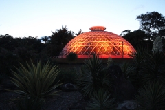 VW Brisbane Botanic Gardens - Mt. Cootha_8864