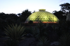 VW Brisbane Botanic Gardens - Mt. Cootha_8868