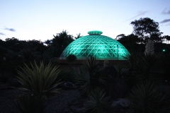 VW Brisbane Botanic Gardens - Mt. Cootha_8873